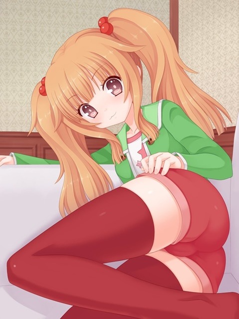 ニーソ・ニーハイを履いた女の子の二次エロ画像④　100枚 37