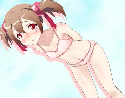 【SAO】シリカ(綾野珪子）の二次エロ画像　50枚【ソードアート・オンライン】 30