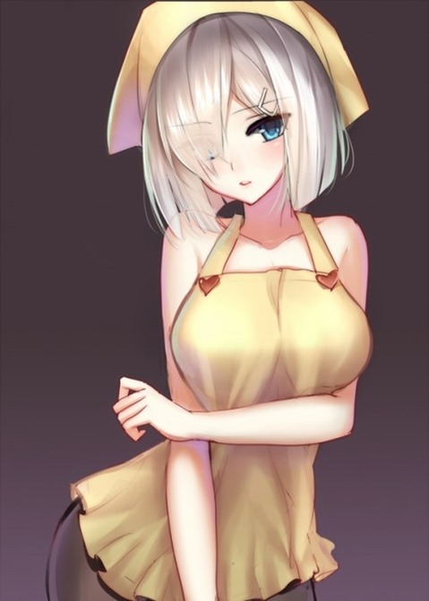 裸エプロンがエロくて仕方ない二次エロ画像㉖　25枚 15