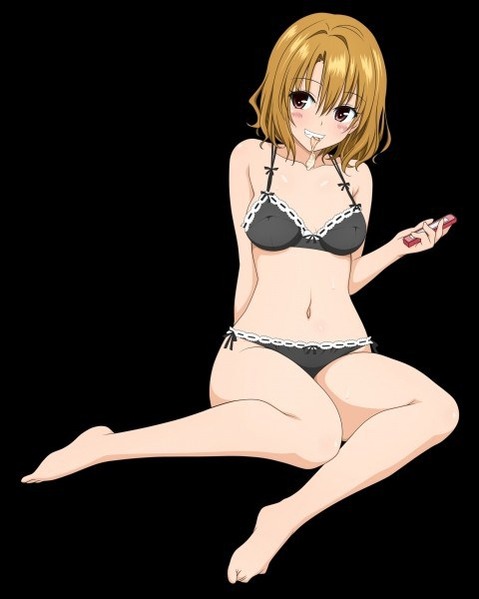 【To LOVEる】籾岡里紗の二次エロ画像　30枚【とらぶる】 8