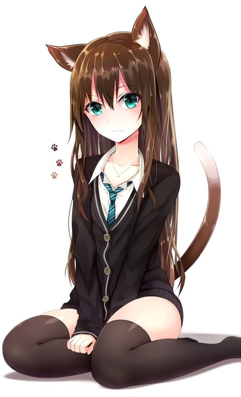 猫耳が可愛い女の子の二次エロ画像①　100枚 81