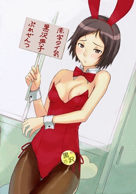 うさ耳が可愛い女の子の二次エロ画像③　100枚 40