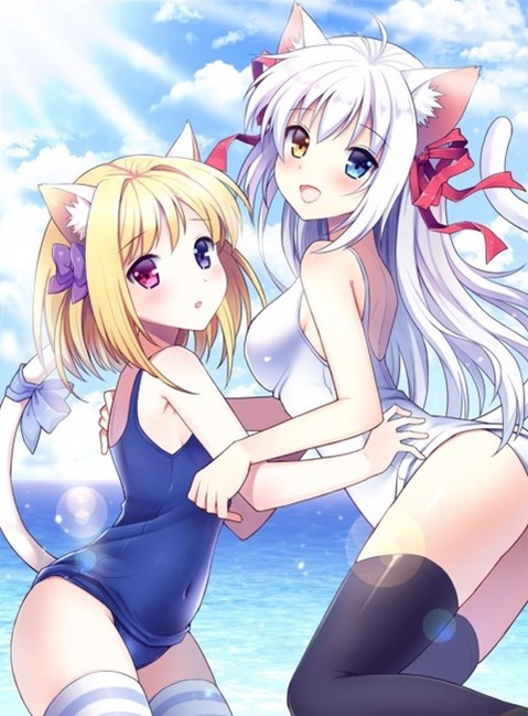 猫耳が可愛い女の子の二次エロ画像①　100枚 30
