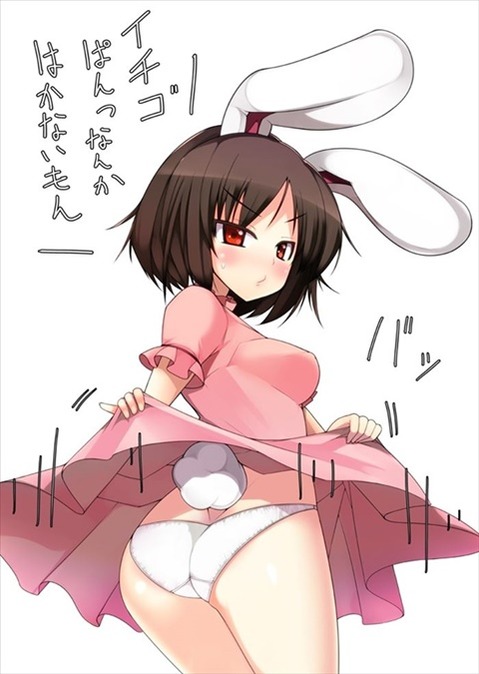 うさ耳が可愛い女の子の二次エロ画像③　100枚 15
