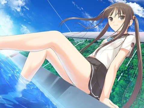 ツインテールの女の子の二次エロ画像⑤　100枚 99