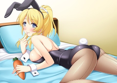 うさ耳が可愛い女の子の二次エロ画像②　100枚 50