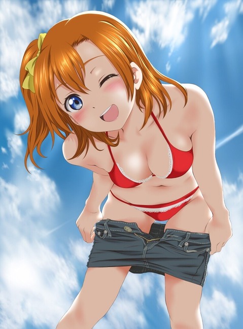 【ラブライブ！】高坂 穂乃果の二次エロ画像②　50枚 7