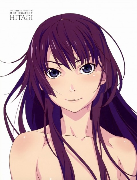 【化物語】戦場ヶ原ひたぎの二次エロ画像①　100枚 3