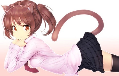 猫耳が可愛い女の子の二次エロ画像⑤　100枚 86
