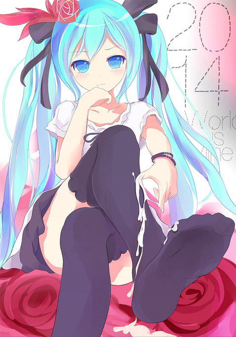 【ボーカロイド】初音ミクの二次エロ画像③　50枚【VOCALOID】 29