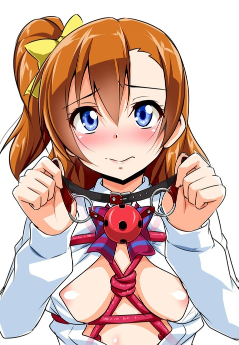 【ラブライブ！】高坂 穂乃果の二次エロ画像②　50枚 33