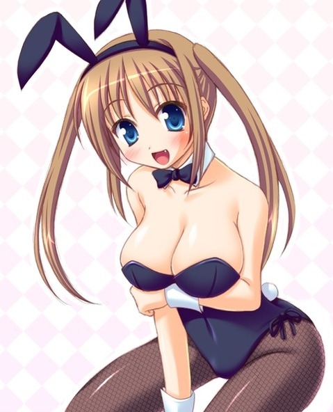 うさ耳が可愛い女の子の二次エロ画像④　100枚 59