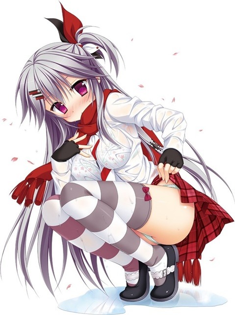 ニーソ・ニーハイを履いた女の子の二次エロ画像⑥　100枚 86