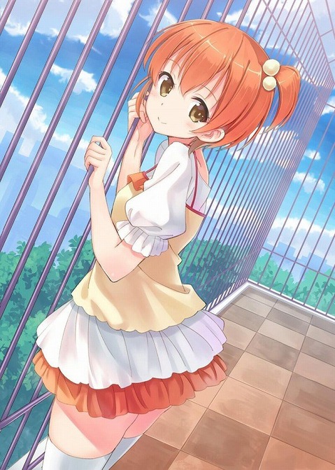 【ラブライブ!】星空凛の二次エロ画像　100枚 86