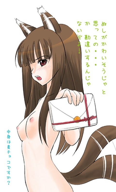 【狼と香辛料】賢狼ホロの二次エロ画像②　100枚 38