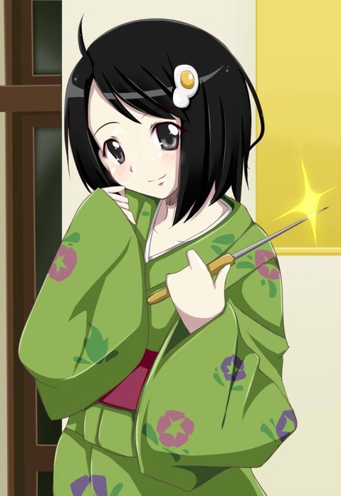 【物語シリーズ】阿良々木月火の二次エロ画像　100枚 87