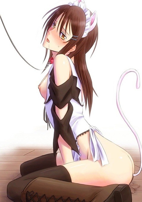 猫耳が可愛い女の子の二次エロ画像②　100枚 86