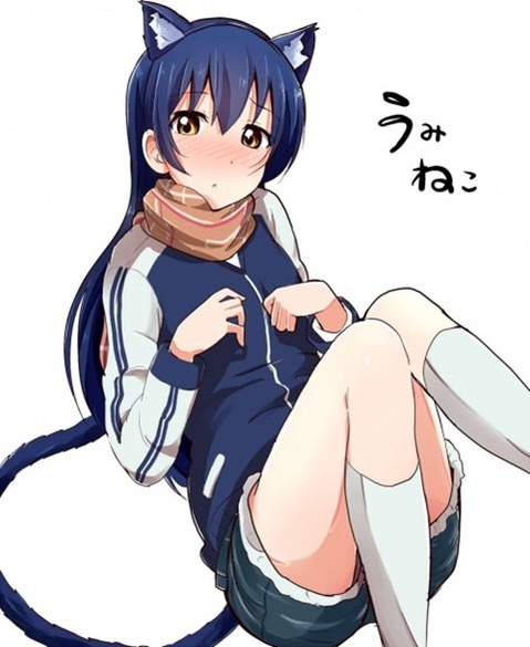 猫耳が可愛い女の子の二次エロ画像①　100枚 38