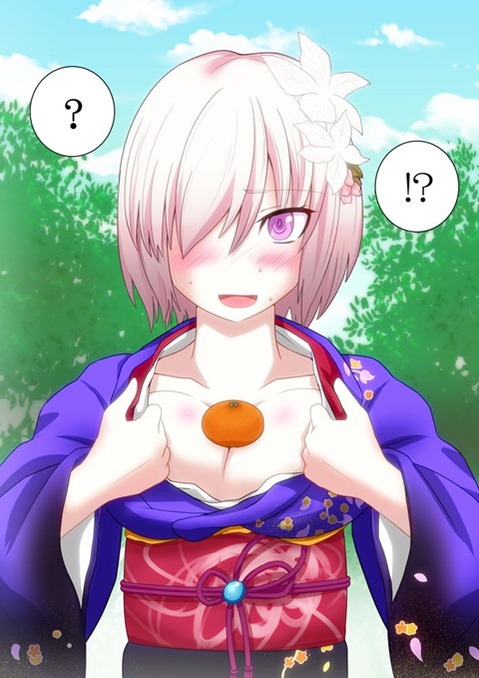 【Fate】マシュ・キリエライトの二次エロ画像　100枚 39