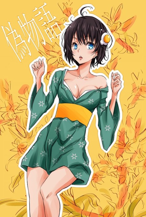 【物語シリーズ】阿良々木月火の二次エロ画像　100枚 54