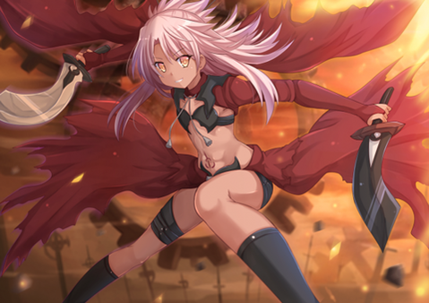 【Fate】クロエ・フォン・アインツベルンの二次エロ　100枚 25