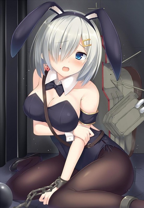 うさ耳が可愛い女の子の二次エロ画像③　100枚 53