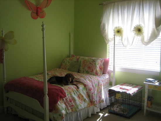 Photo_Video_42e13742-51d5-4c81-b414-f006f9b40b5c_medium