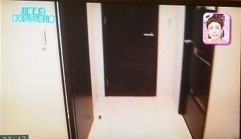 o0373028012049503198