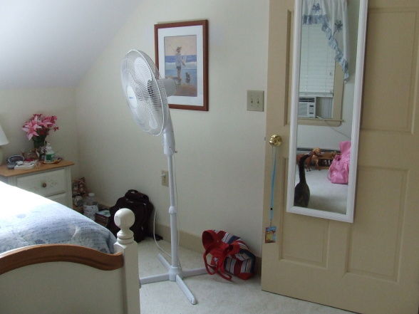 Photo_Video_9eba290f-0cce-49e2-8e83-342db5dbfecd_medium
