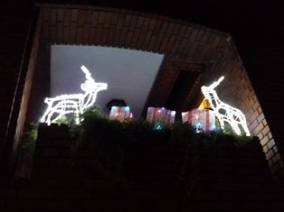 o0314023512762729590