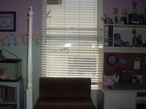 Photo_Video_431663111_orig
