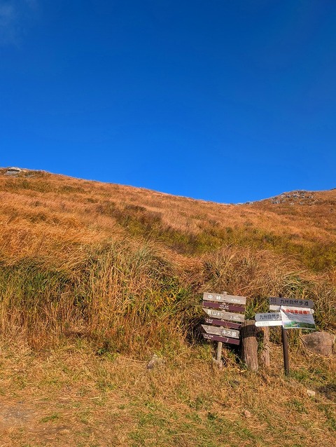 PXL_20251207_004834132