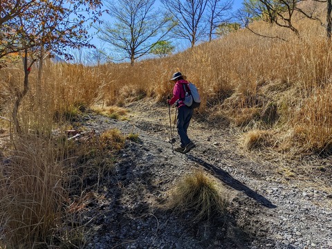 PXL_20220417_003623411