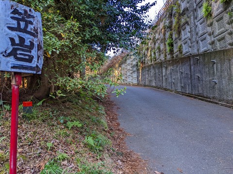 PXL_20220212_014344619