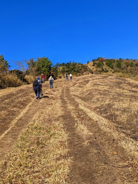 PXL_20211209_020530455