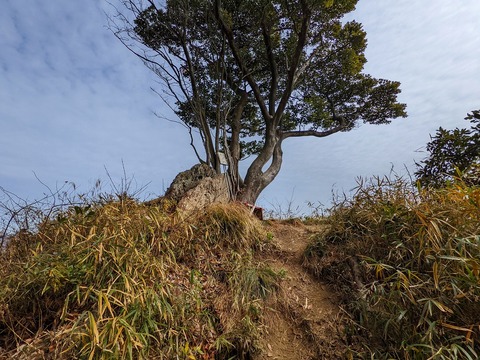 PXL_20220212_031644049