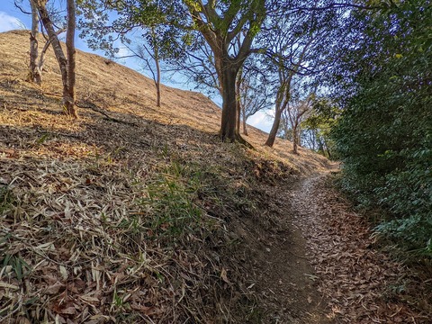 PXL_20220226_053614944