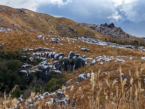 PXL_20221219_020912113