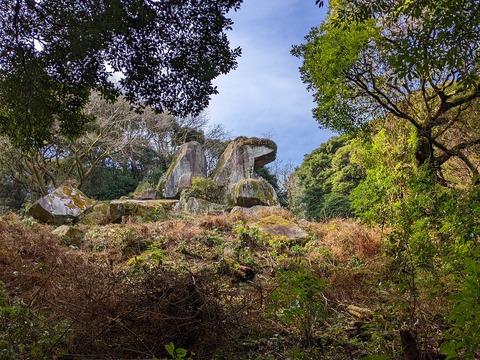 PXL_20220212_023016618