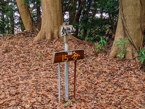 PXL_20220212_030709134