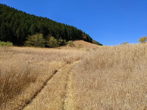 PXL_20220417_005401964