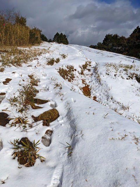 PXL_20221219_040053481