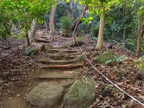 PXL_20220212_022032208