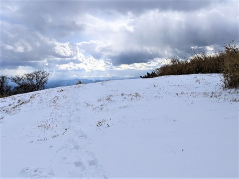 PXL_20221219_041750510