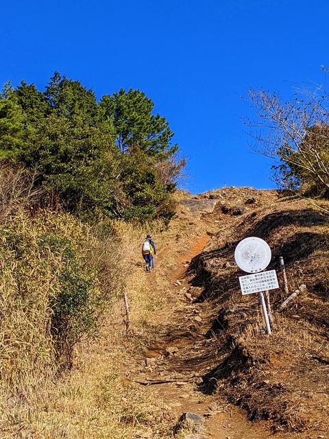 PXL_20211209_020031361