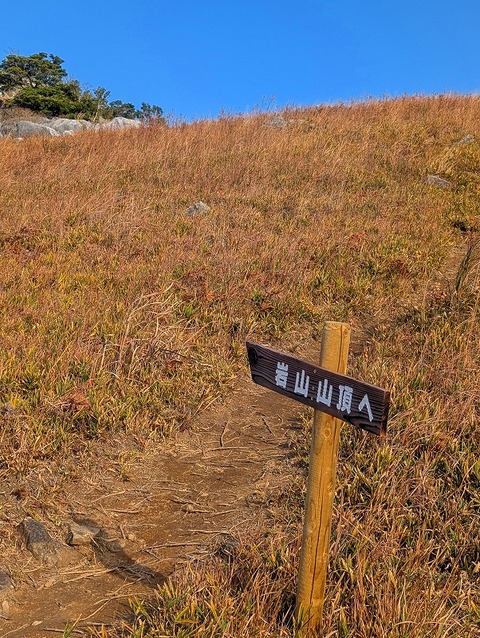 PXL_20251207_005819477.MP