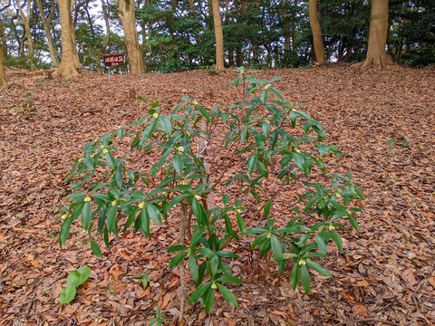 PXL_20220212_030541750