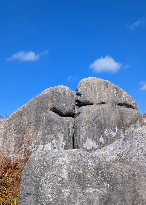 PXL_20251207_040313596.MP