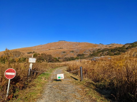 PXL_20211209_002833081