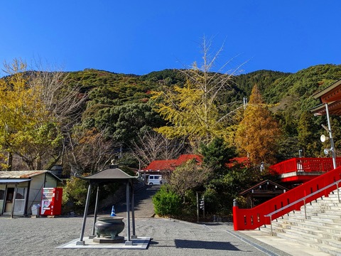 PXL_20221203_023433697